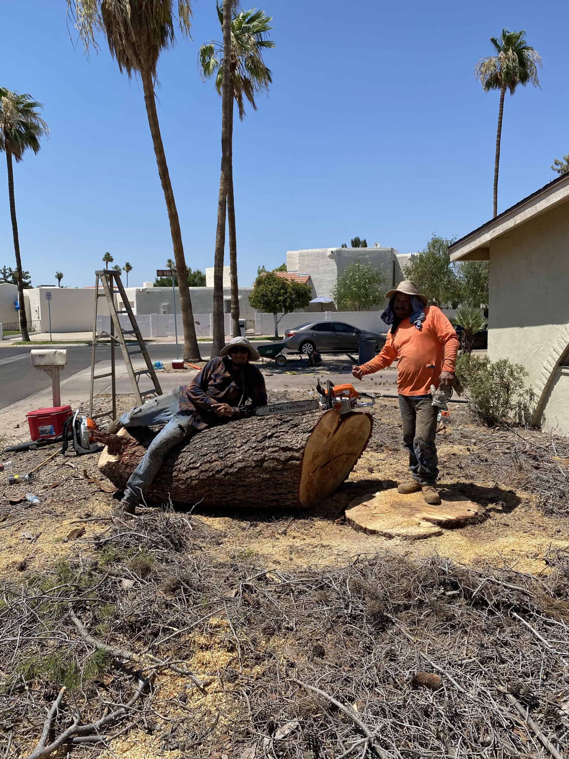 Workers cutting a large tree trunk in a residential yard.