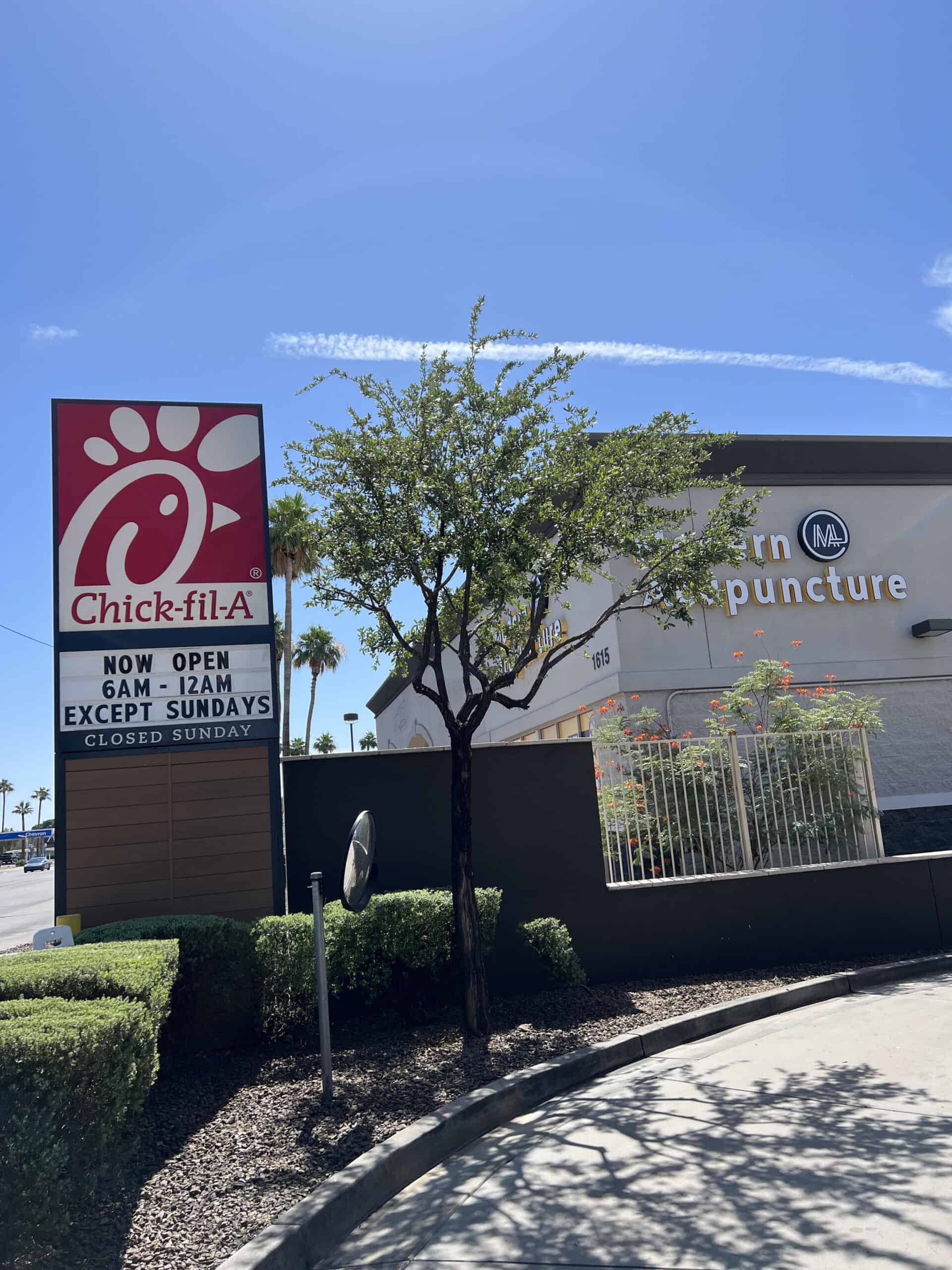 Young tree planted near Chick-fil-A restaurant with clear blue sky.
