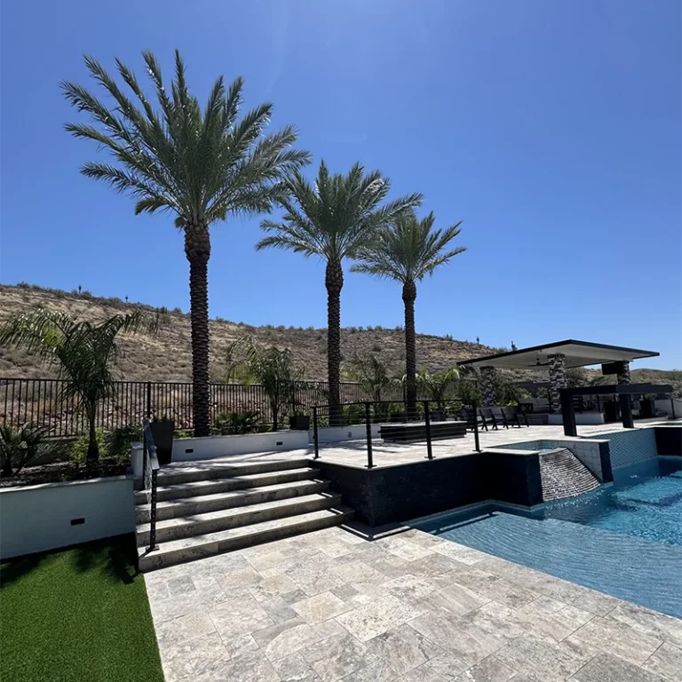 Trimmed palm trees beside a residential swimming pool in Phoenix, Arizona