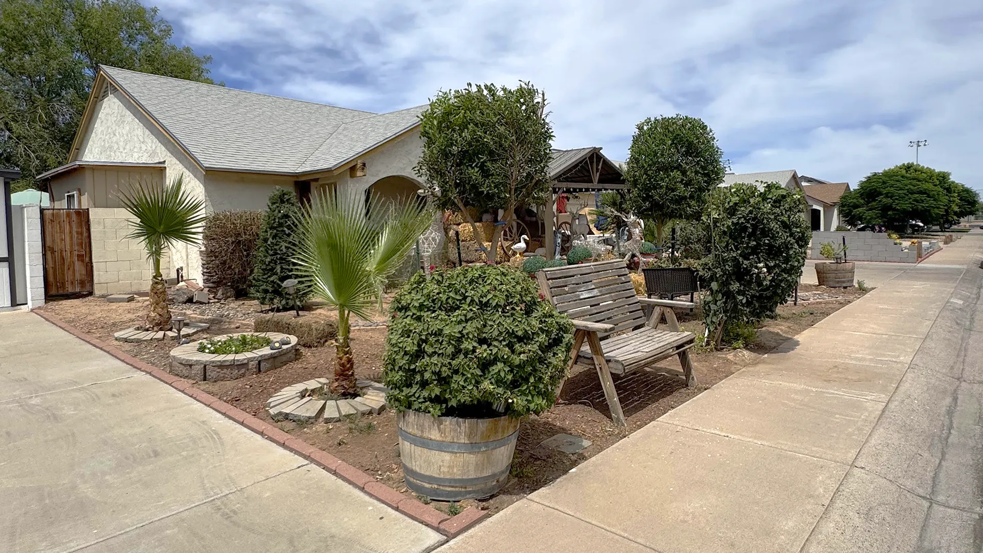 Trimmed trees, shrubs, and palms in a Phoenix residential landscape
